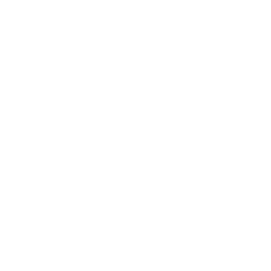 DSS22-0060_MPE-1-Campaign_DMS_Landing-Page-Icon-2_White_v1